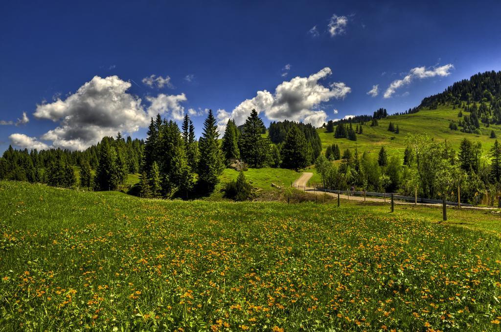 H+ Hotel Oberstaufen Luaran gambar
